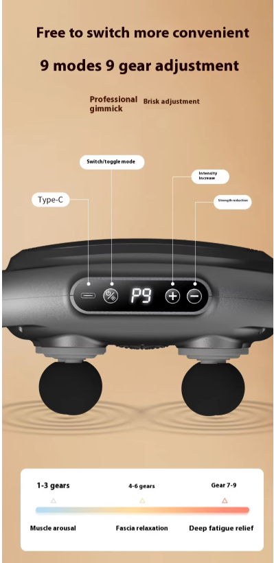 6 Head Professional Massager