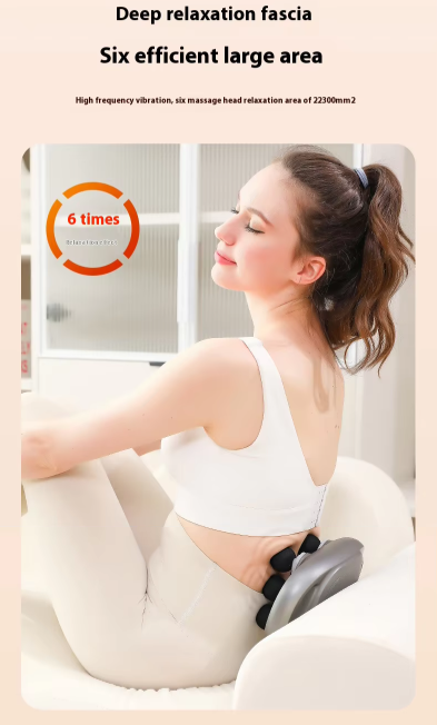 6 Head Professional Massager
