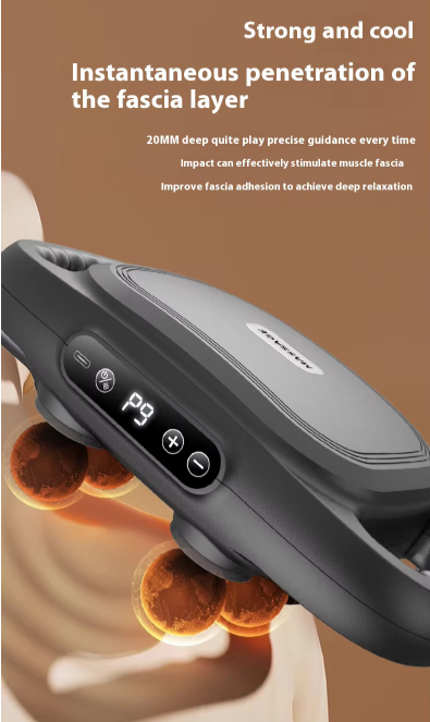 6 Head Professional Massager